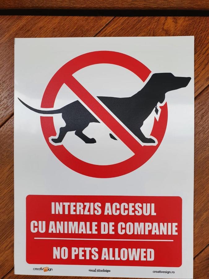 Casa Saga Hotell Gura Humorului Exteriör bild